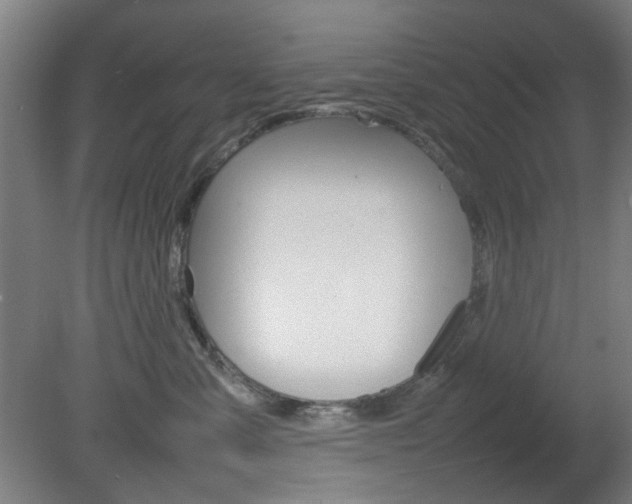 X0000082140427200701191003