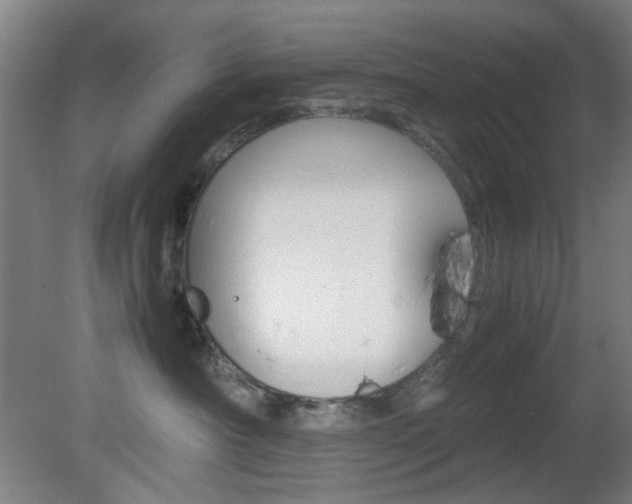 X0000082140430200701191002