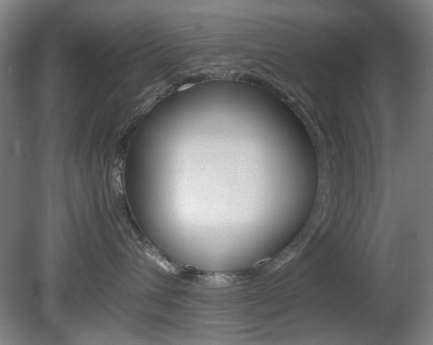 X0000082140432200701191002