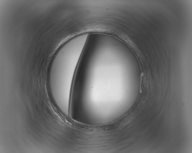 X0000082140434200701191002