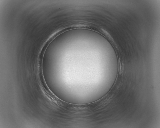 X0000082140435200701191002