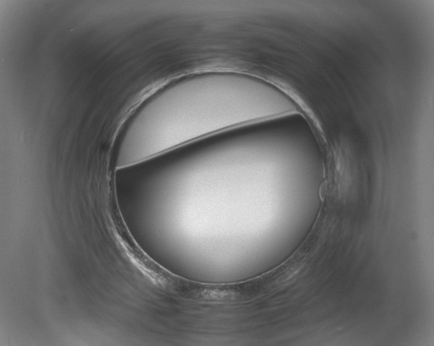 X0000082140437200701191002