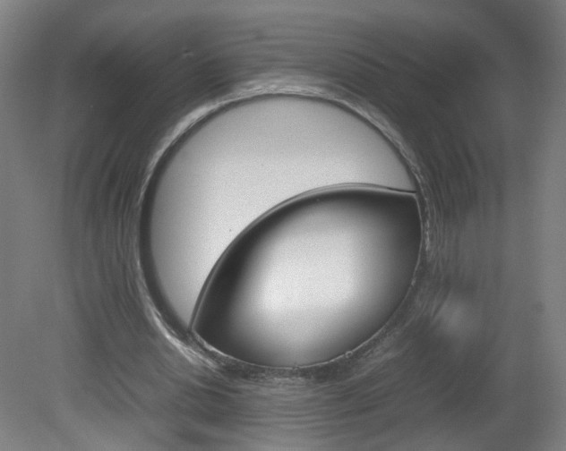 X0000082140438200701191002