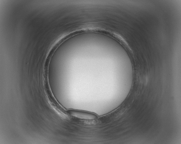 X0000082140439200701191002