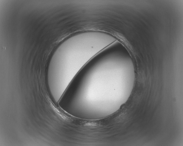 X0000082140441200701191002
