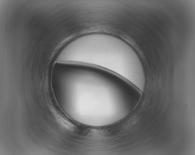 X0000082140442200701191002
