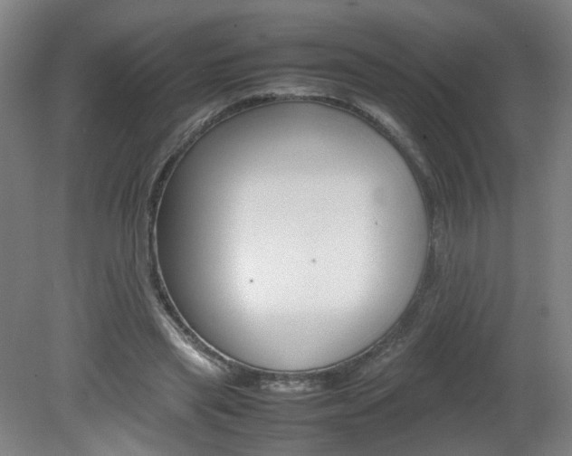 X0000082140445200701191002