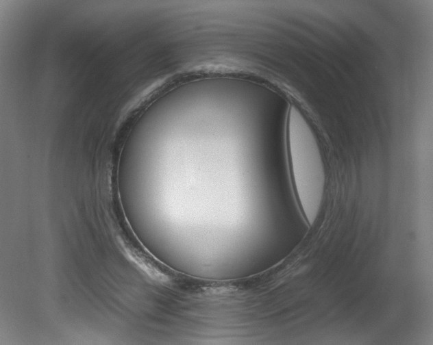 X0000082140446200701191002