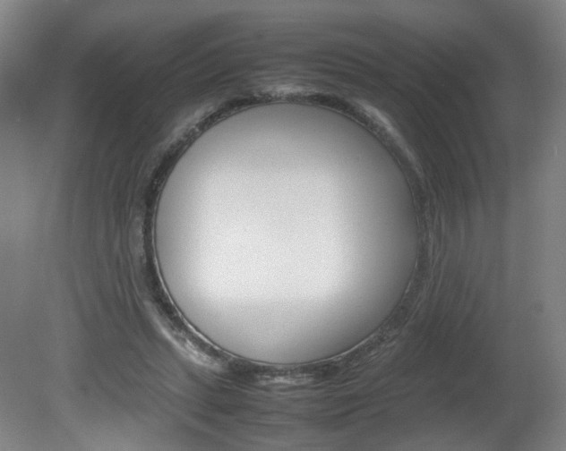 X0000082140447200701191002