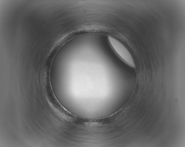 X0000082140448200701191002