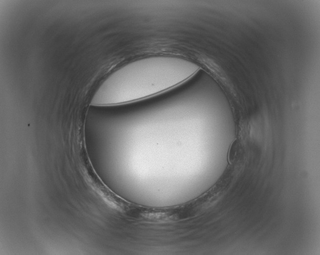 X0000082140449200701191002