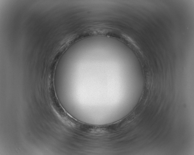 X0000082140451200701191002
