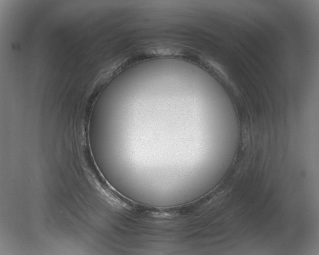 X0000082140453200701191002