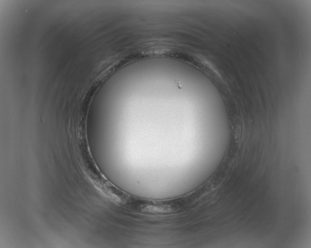 X0000082140455200701191002