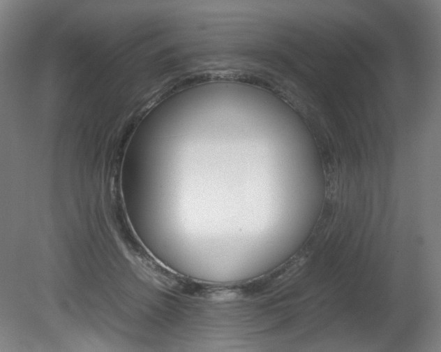 X0000082140456200701191002