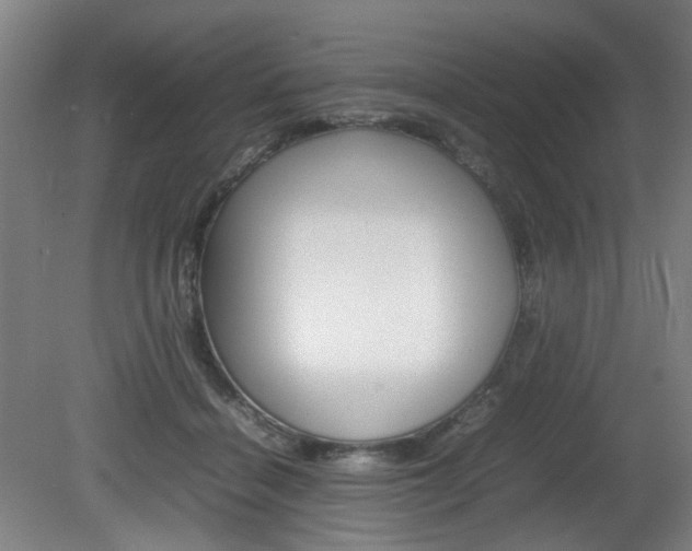 X0000082140460200701191002