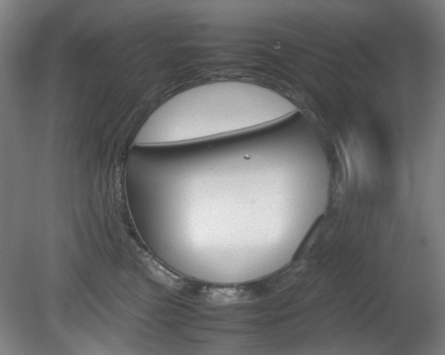X0000082140473200701191002