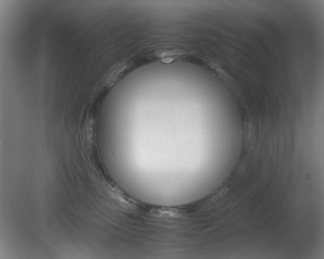 X0000082140475200701191002