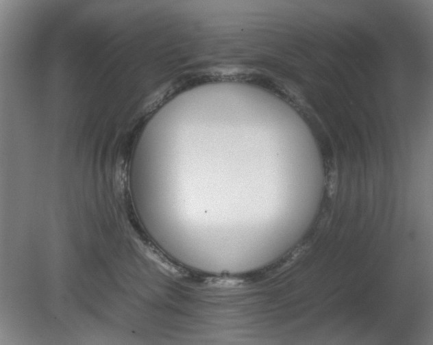 X0000082140476200701191002
