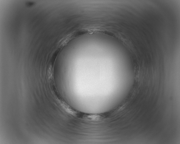 X0000082140478200701191002