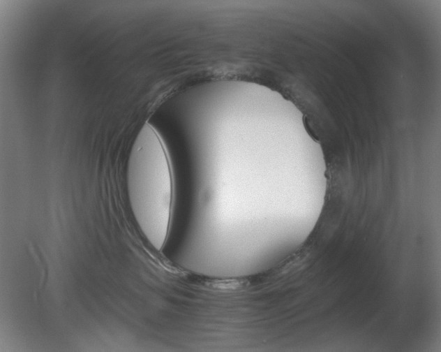 X0000082140479200701191002