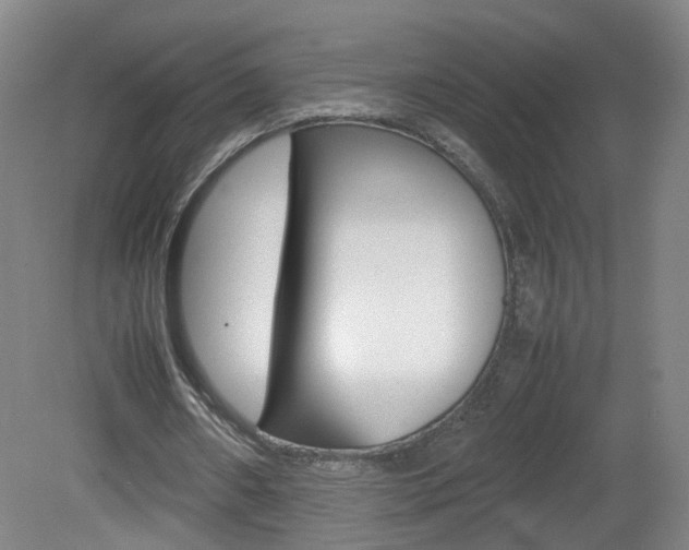 X0000082140482200701191002