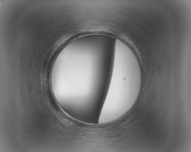 X0000082140483200701191002