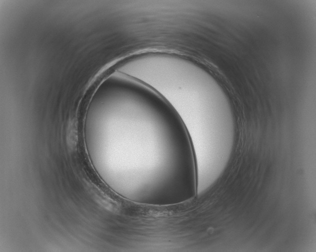 X0000082140484200701191002