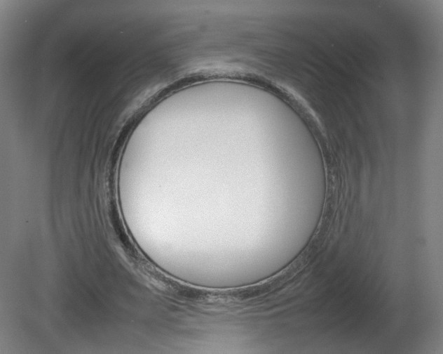 X0000082140487200701191002