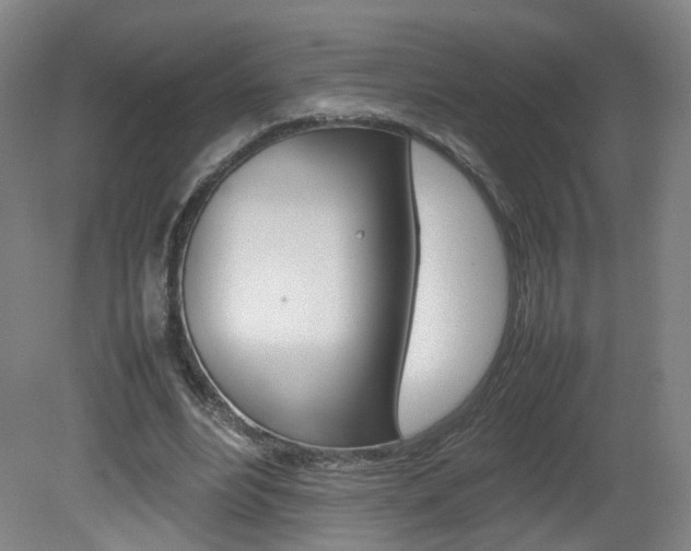 X0000082140488200701191001