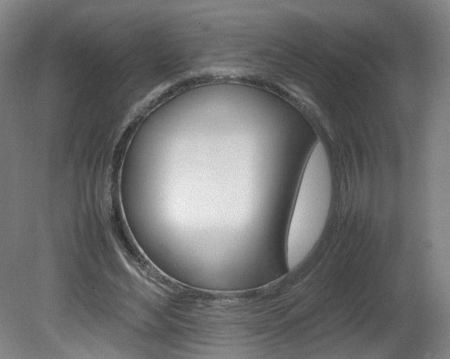 X0000082140492200701191001