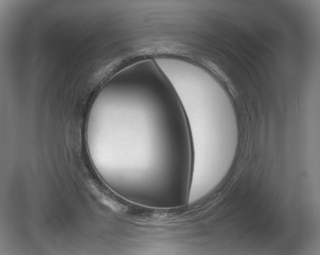 X0000082140493200701191001