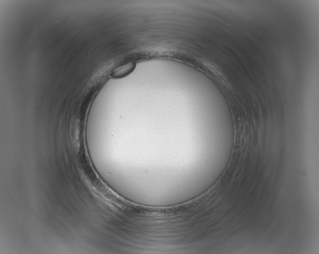 X0000082140494200701191001