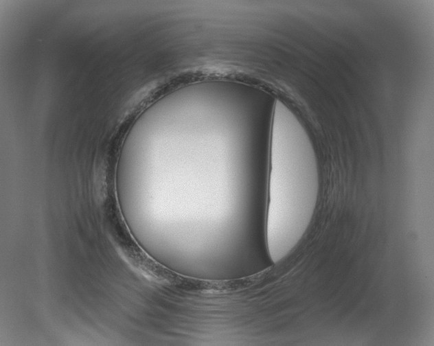 X0000082140496200701191001