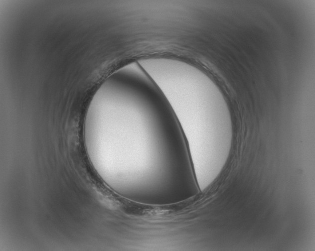 X0000082140497200701191001