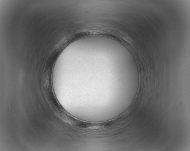 X0000082140499200701191001