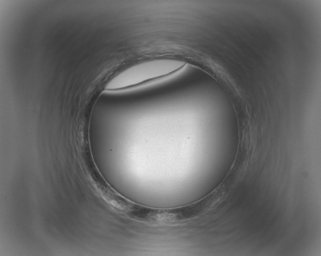 X0000082140501200701191001