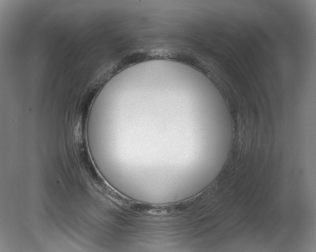 X0000082140502200701191001