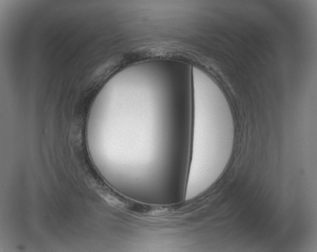 X0000082140505200701191001