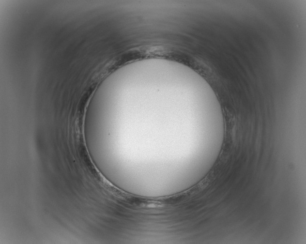 X0000082140506200701191001