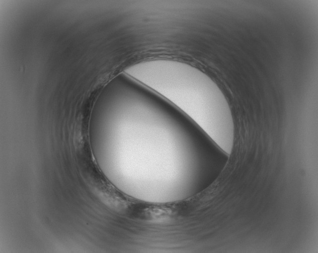 X0000082140512200701191001