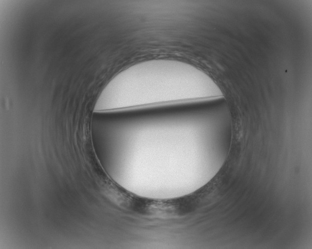 X0000082140515200701191001