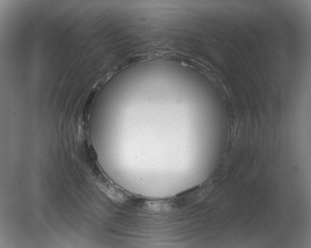 X0000082140520200701191001