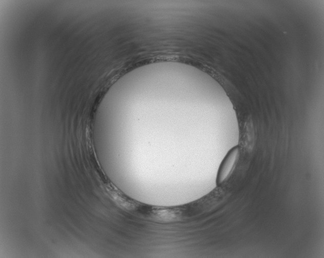 X0000082140522200701191001
