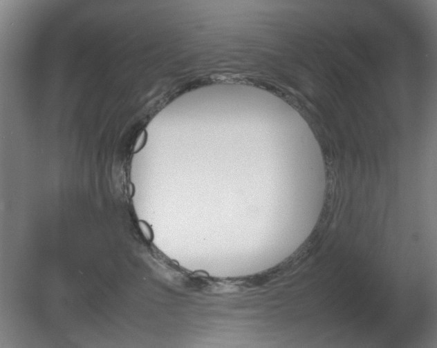 X0000082140523200701191001