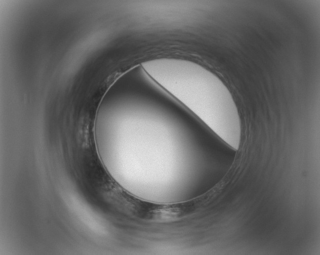 X0000082140525200701191001