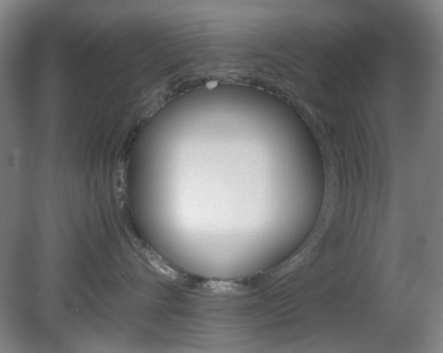 X0000082140528200701191001
