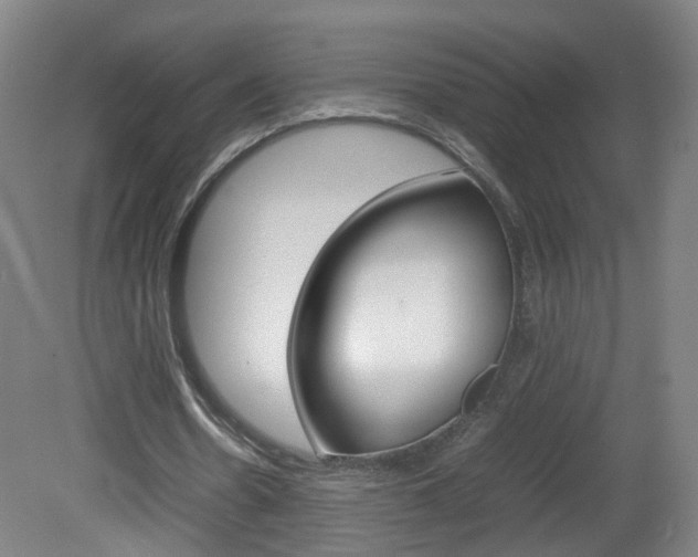 X0000082140530200701191000