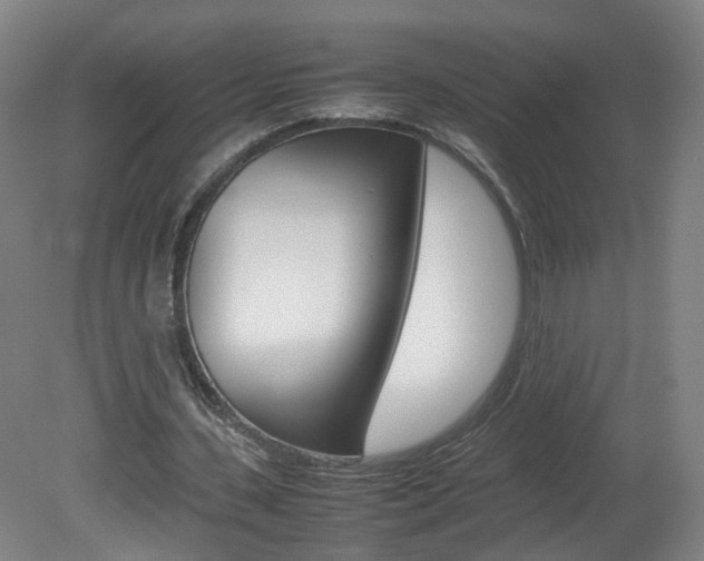 X0000082140531200701191000