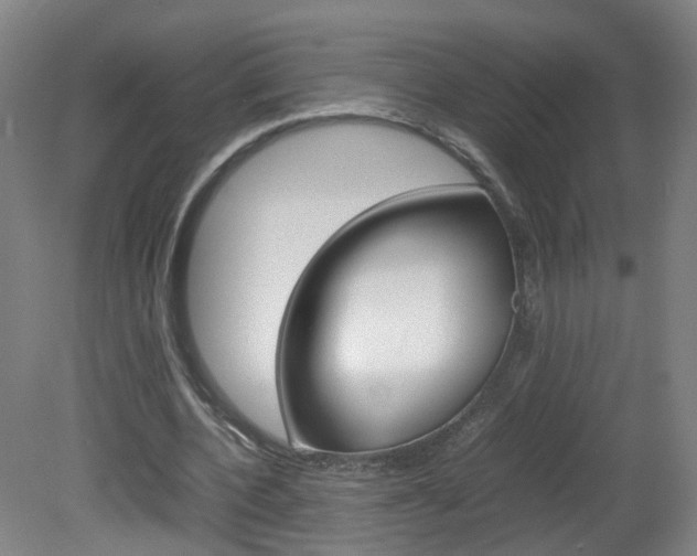 X0000082140532200701191000
